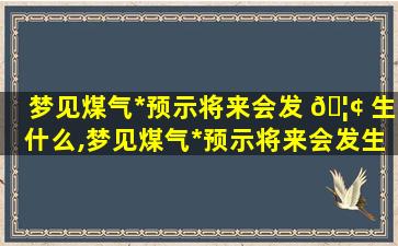 梦见煤气*
预示将来会发 🦢 生什么,梦见煤气*
预示将来会发生什么事情 🦟